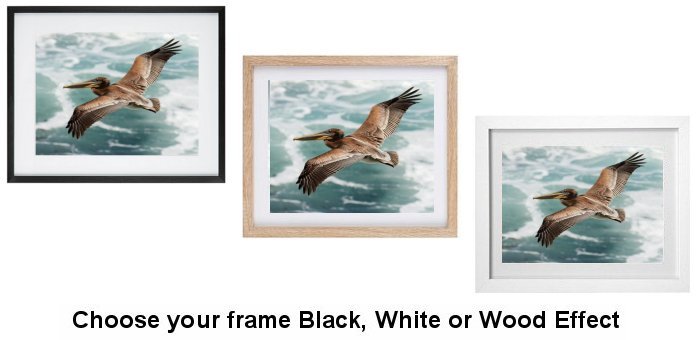 Select Your Frame
